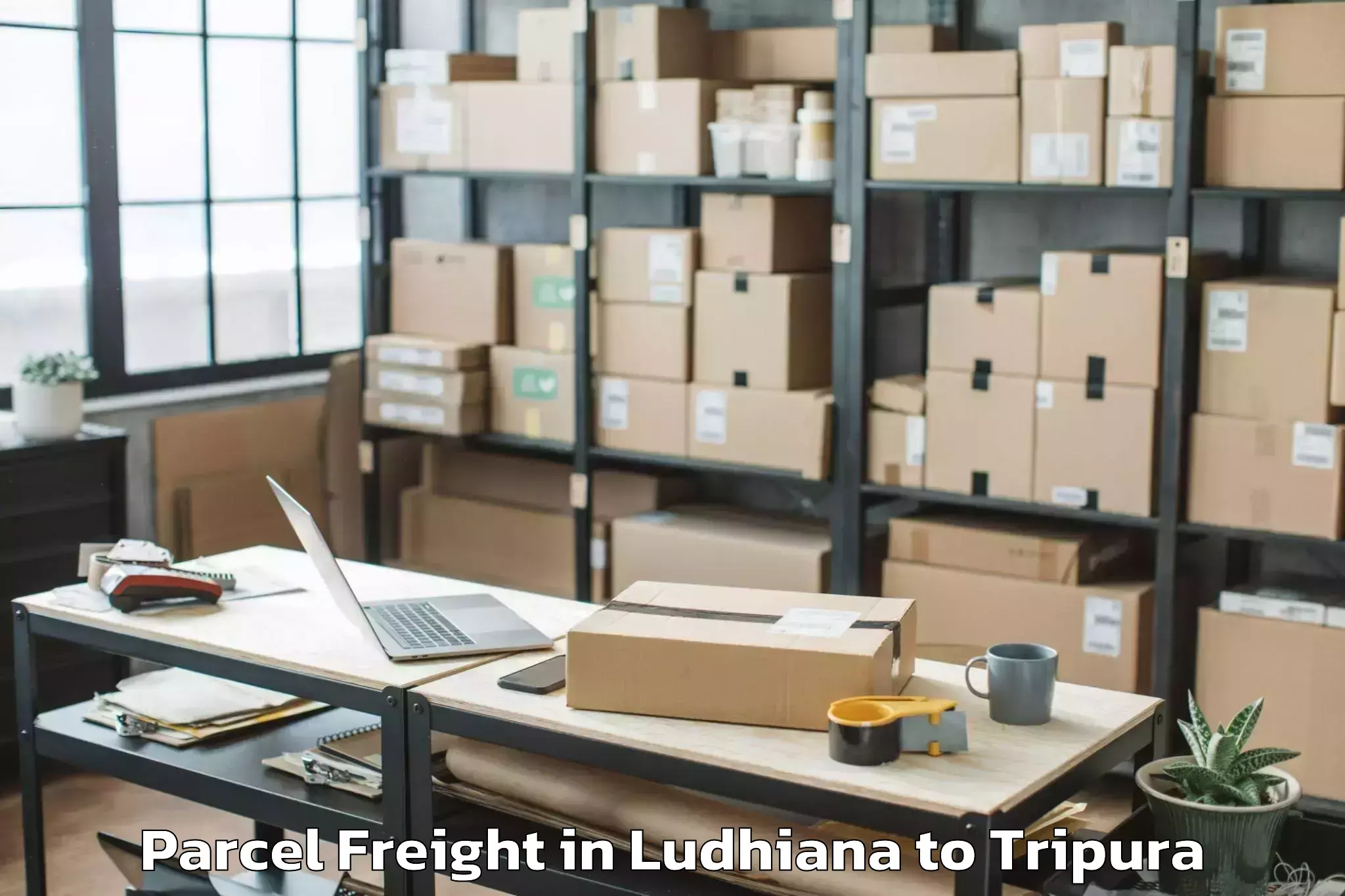 Book Ludhiana to Jirania Parcel Freight Online